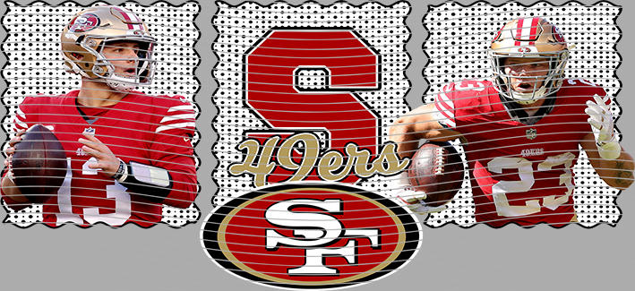 16oz team-NFL 3596